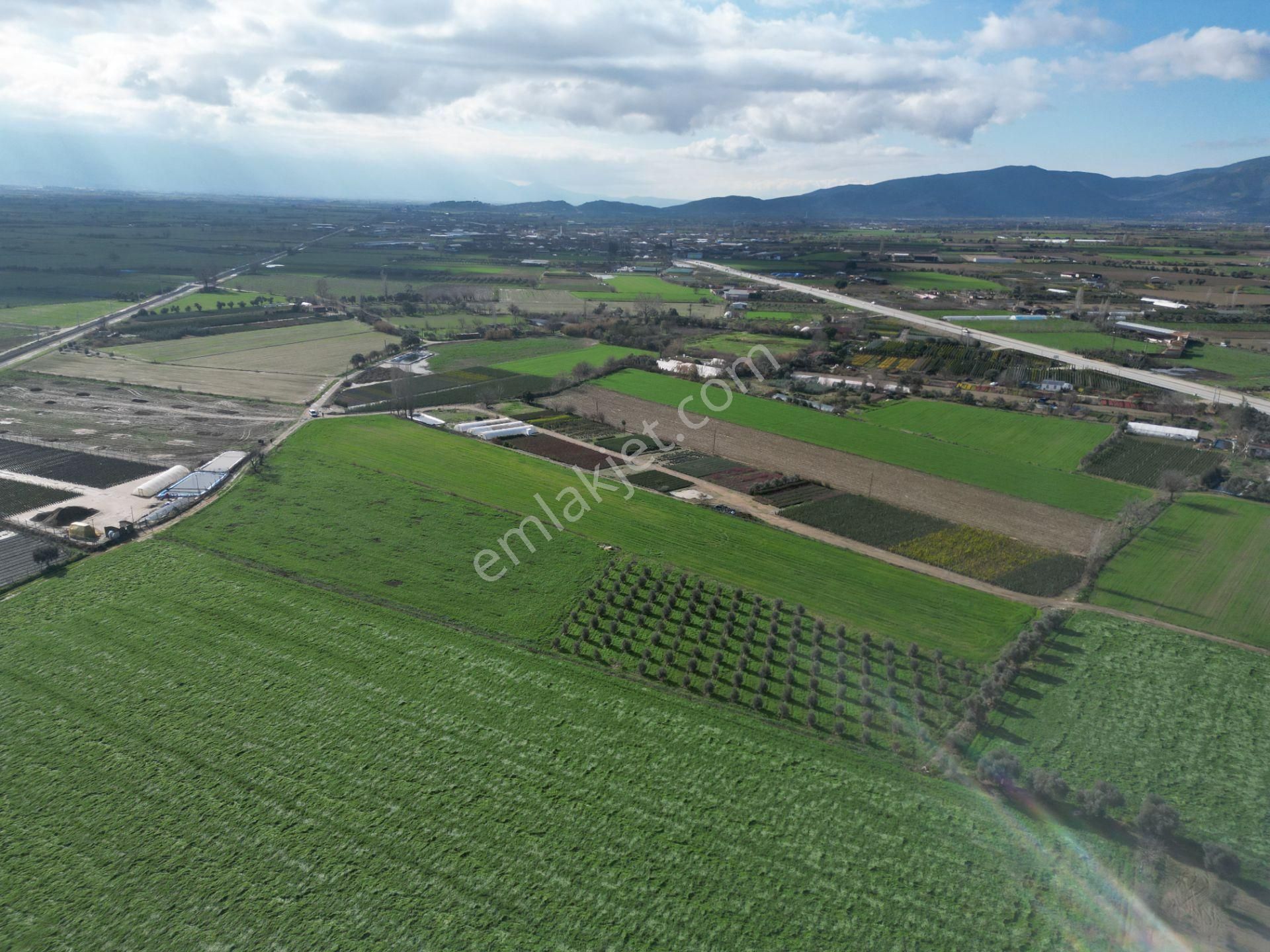 Antika Gayrimenkul'den Demircili Mahallesinde Satılık Tarla - Görsel 15