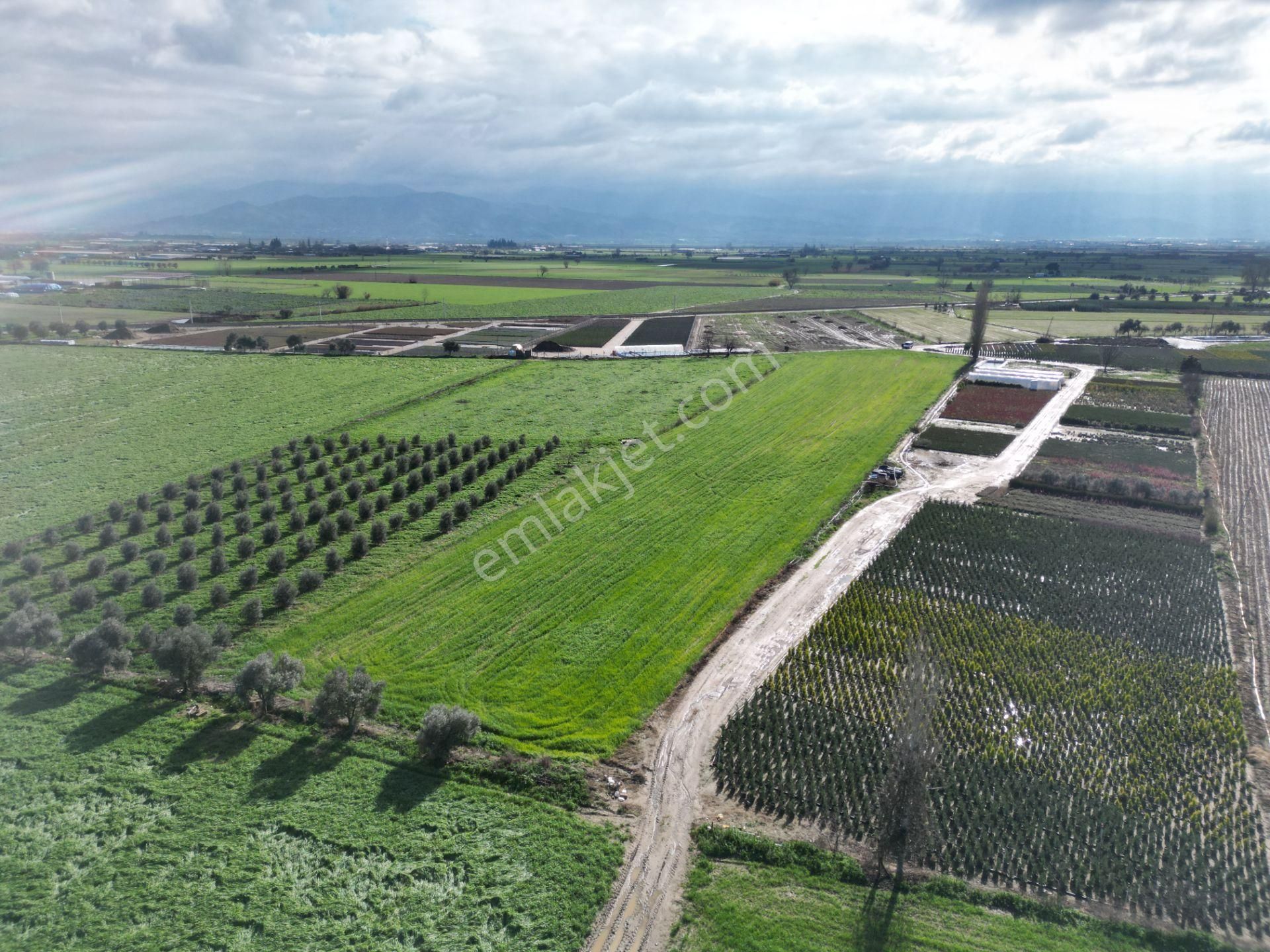 Antika Gayrimenkul'den Demircili Mahallesinde Satılık Tarla - Görsel 22