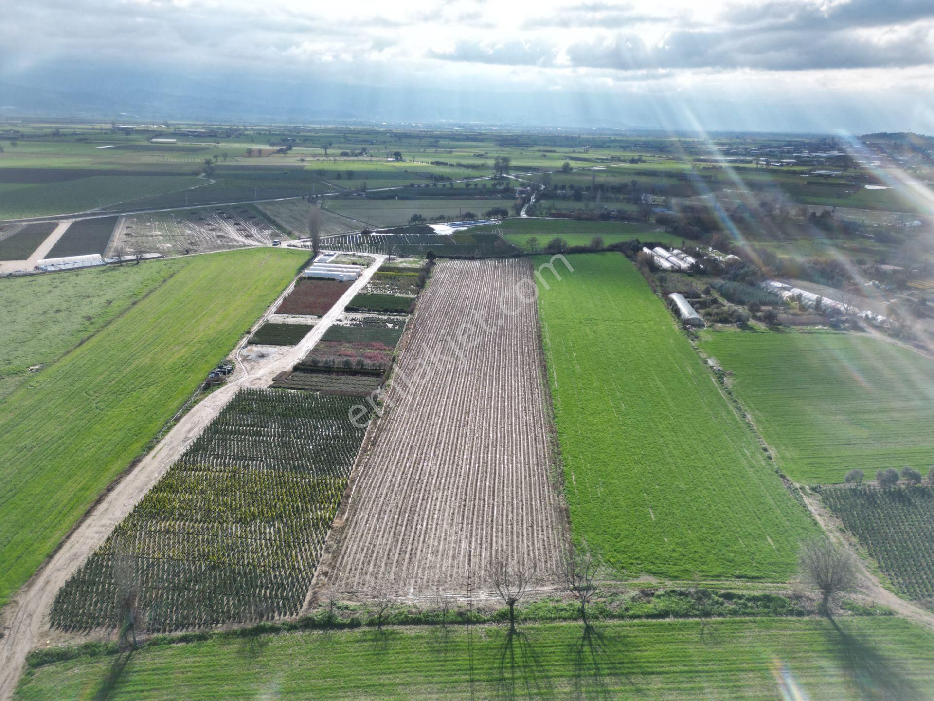 Antika Gayrimenkul'den Demircili Mahallesinde Satılık Tarla - Görsel 5