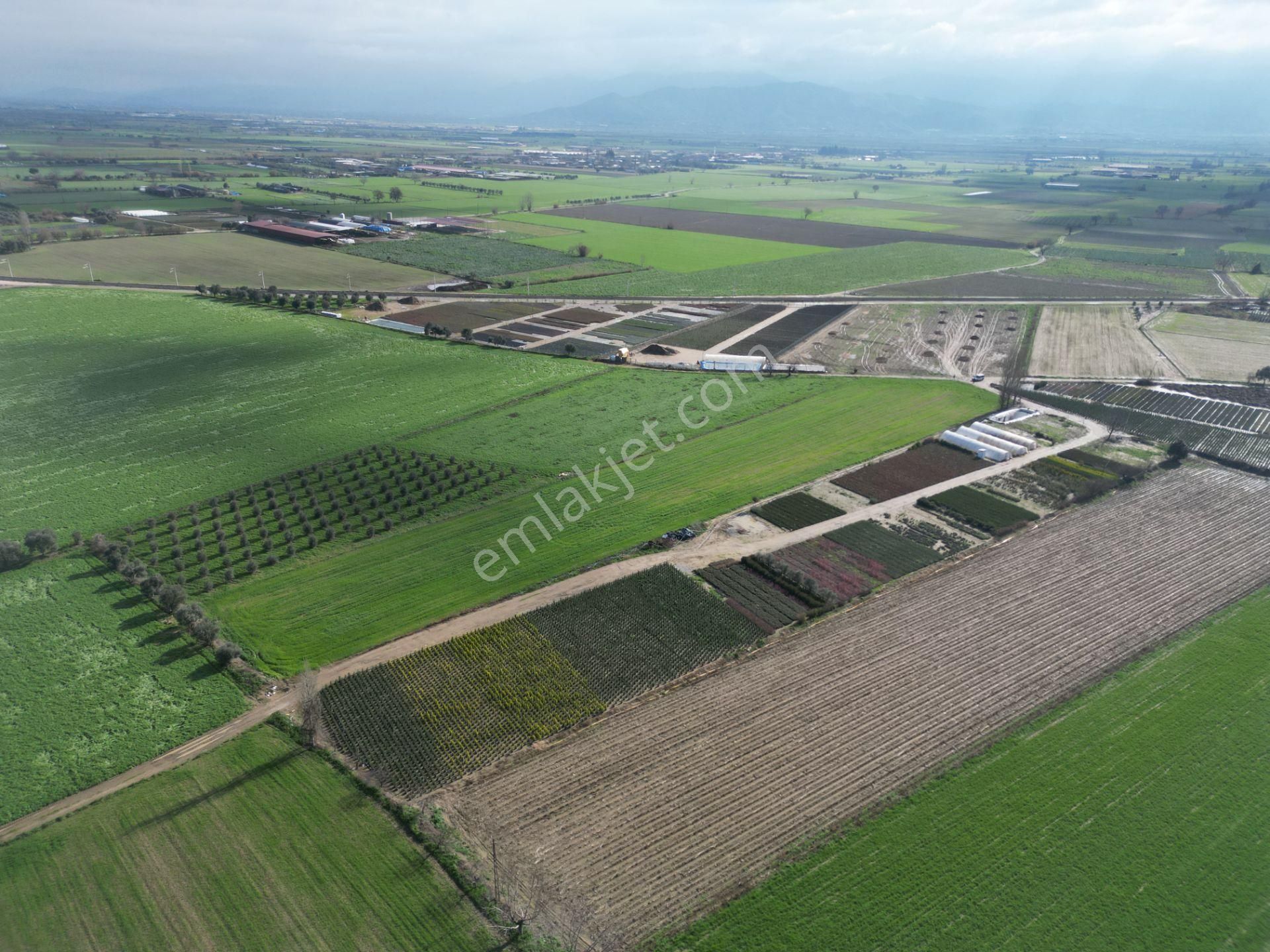 Antika Gayrimenkul'den Demircili Mahallesinde Satılık Tarla - Görsel 4