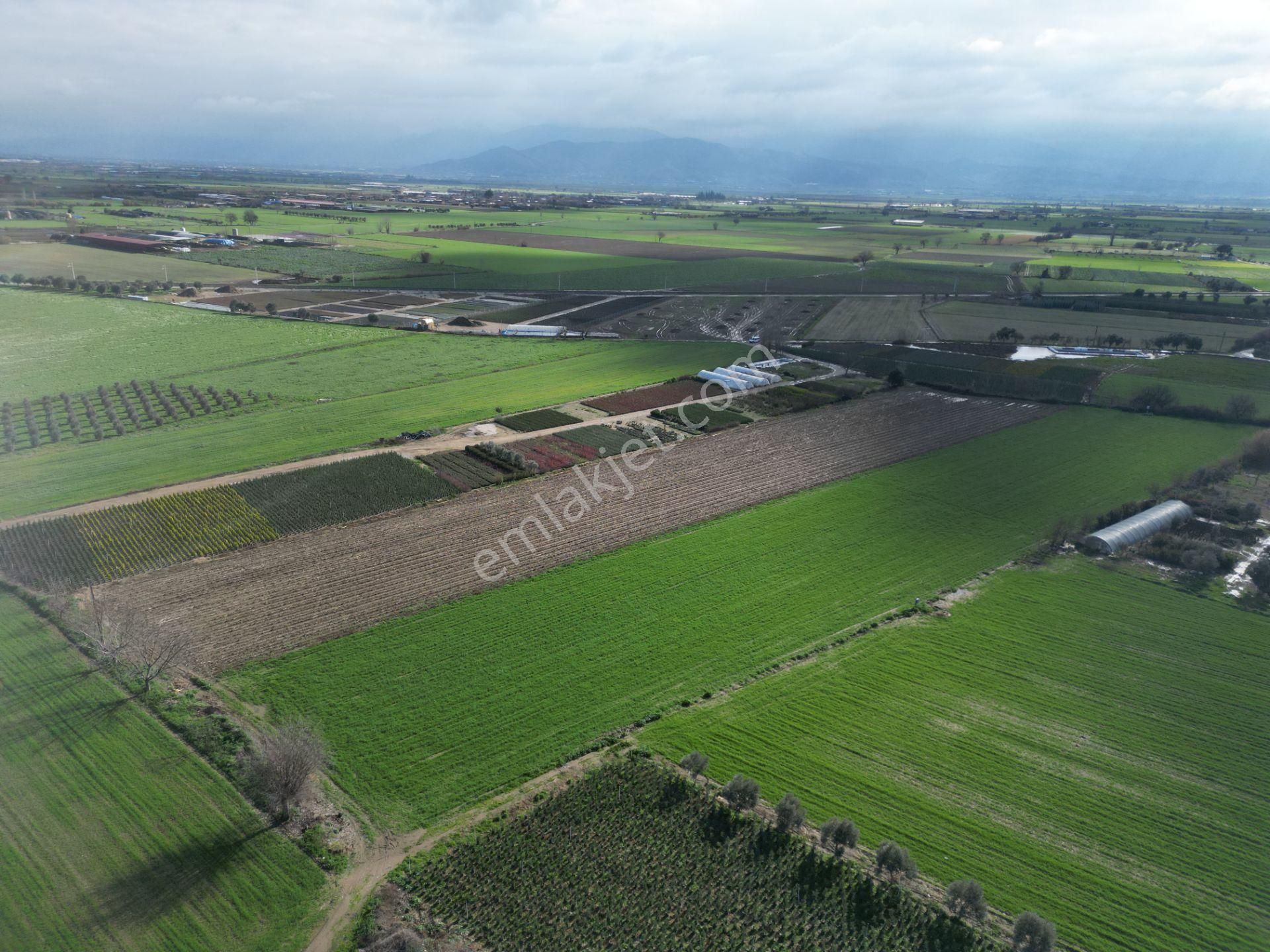 Antika Gayrimenkul'den Demircili Mahallesinde Satılık Tarla - Görsel 7