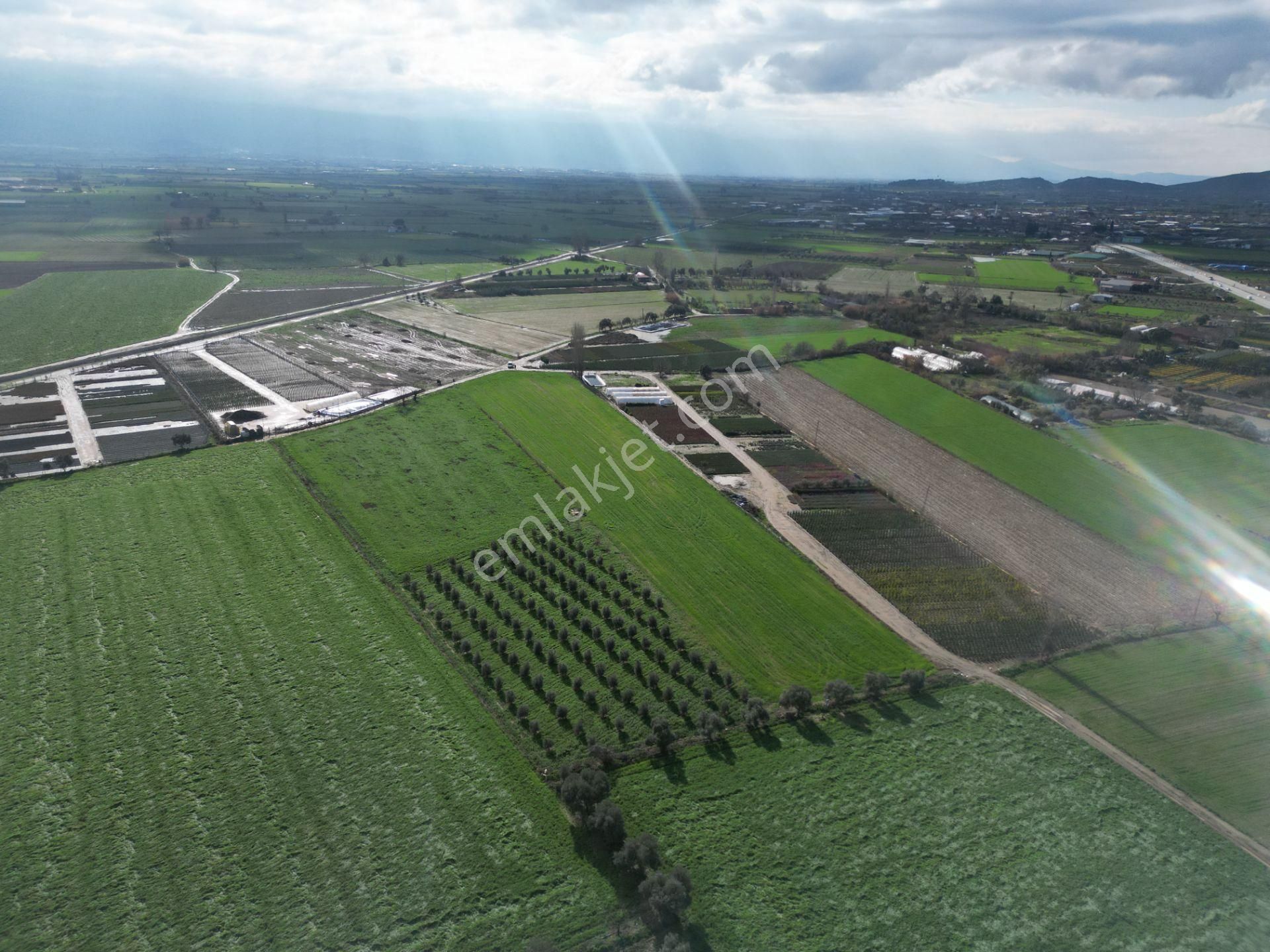 Antika Gayrimenkul'den Demircili Mahallesinde Satılık Tarla - Görsel 16