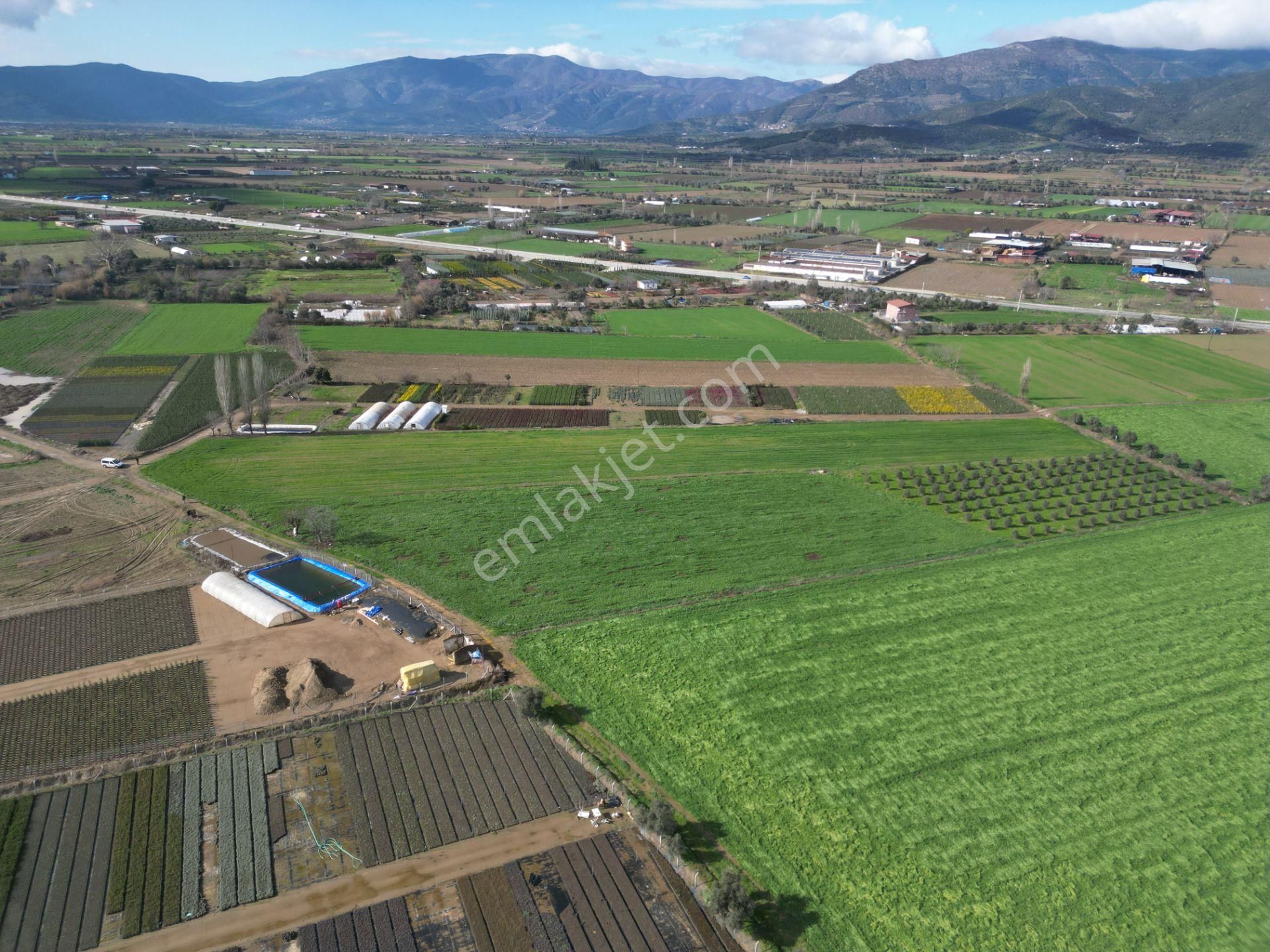 Antika Gayrimenkul'den Demircili Mahallesinde Satılık Tarla - Görsel 13