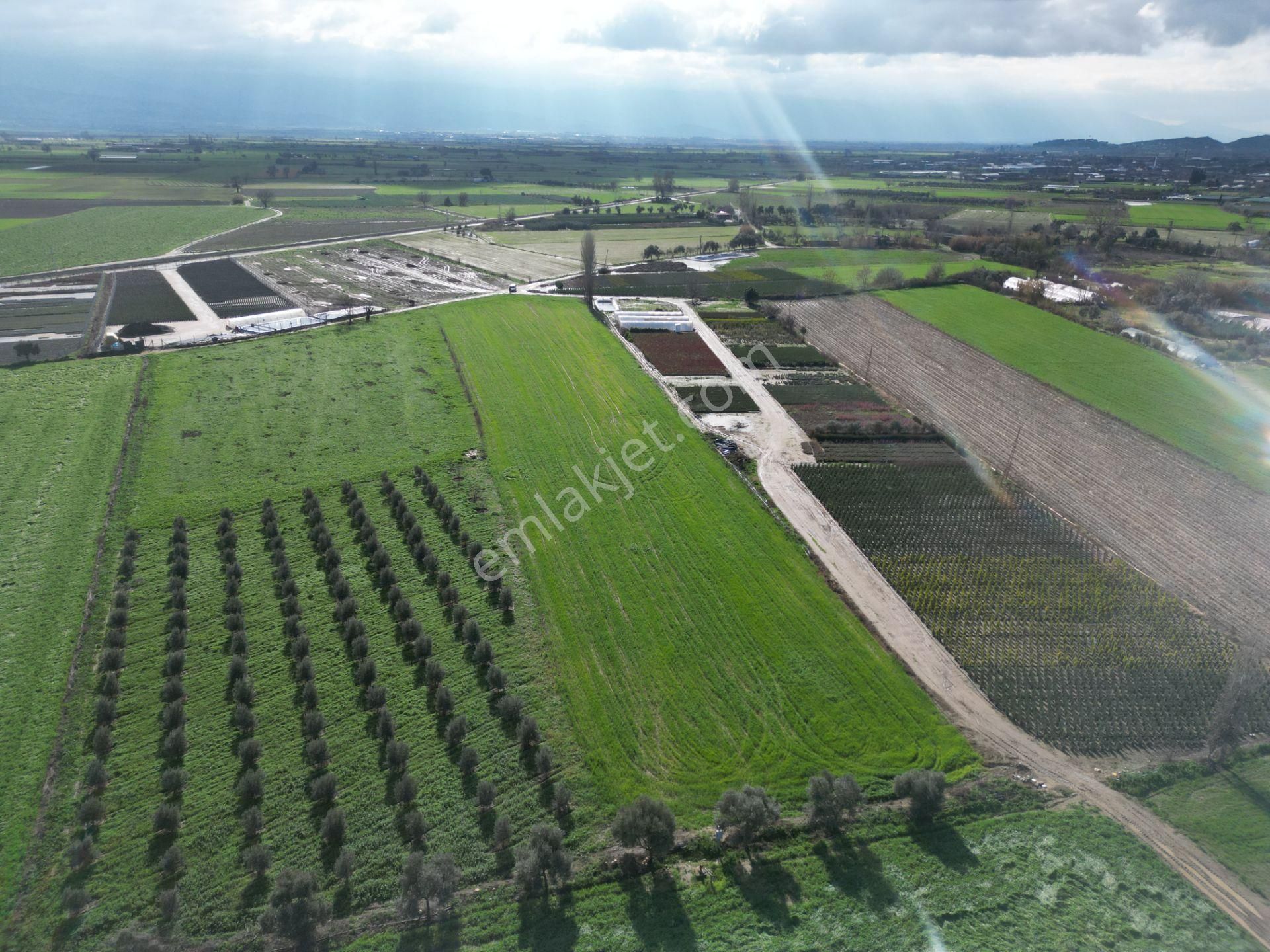 Antika Gayrimenkul'den Demircili Mahallesinde Satılık Tarla - Görsel 21