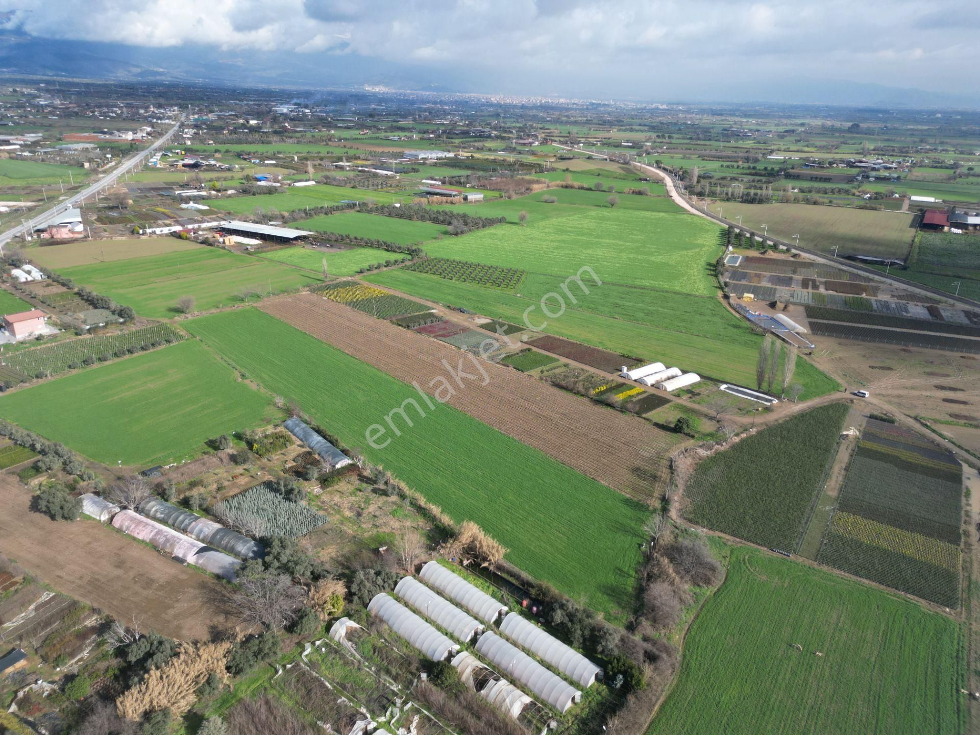 Antika Gayrimenkul'den Demircili Mahallesinde Satılık Tarla - Görsel 10