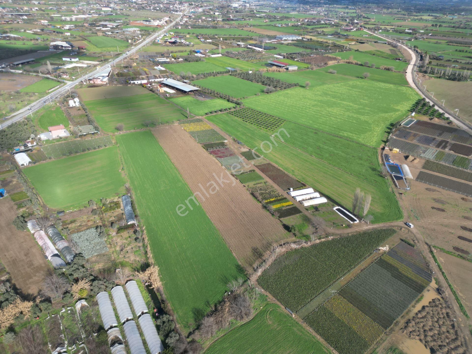 Antika Gayrimenkul'den Demircili Mahallesinde Satılık Tarla