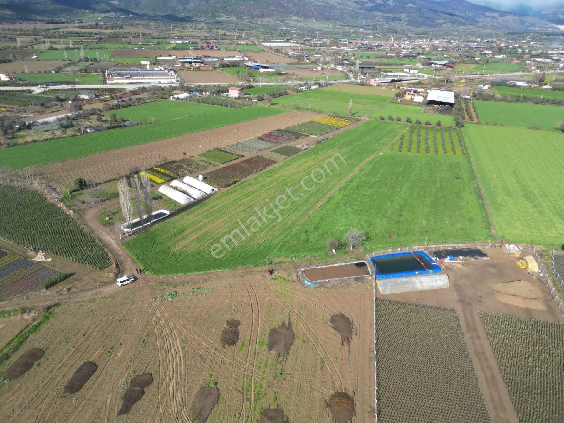 Antika Gayrimenkul'den Demircili Mahallesinde Satılık Tarla - Görsel 11