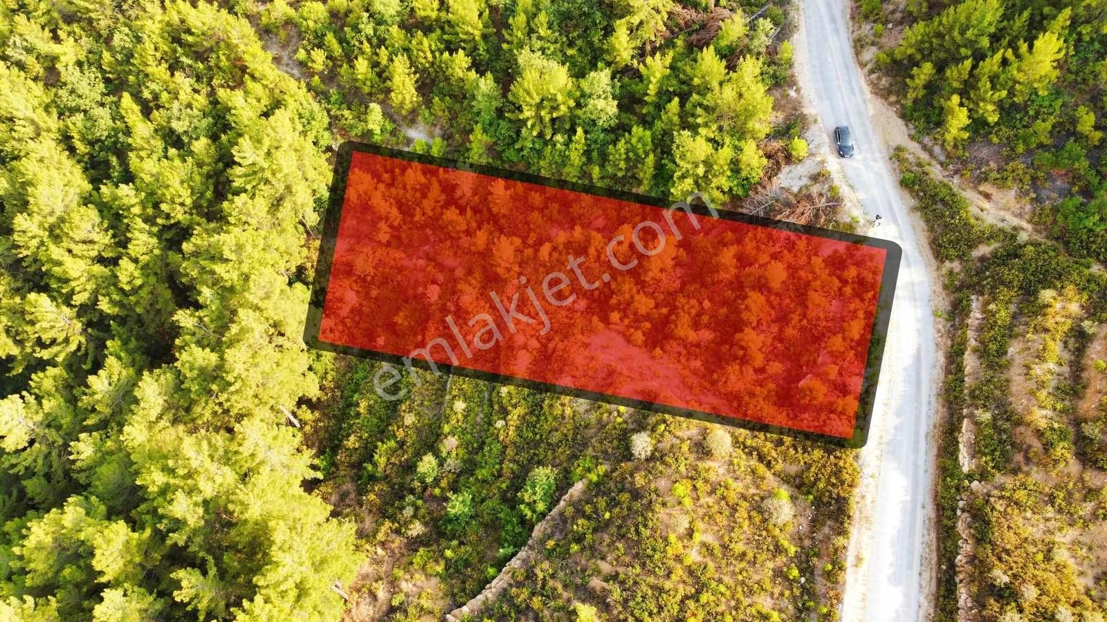Alanya Üzümlü De 1500 M2 Yola Sıfır Satılık Tarla - Görsel 8