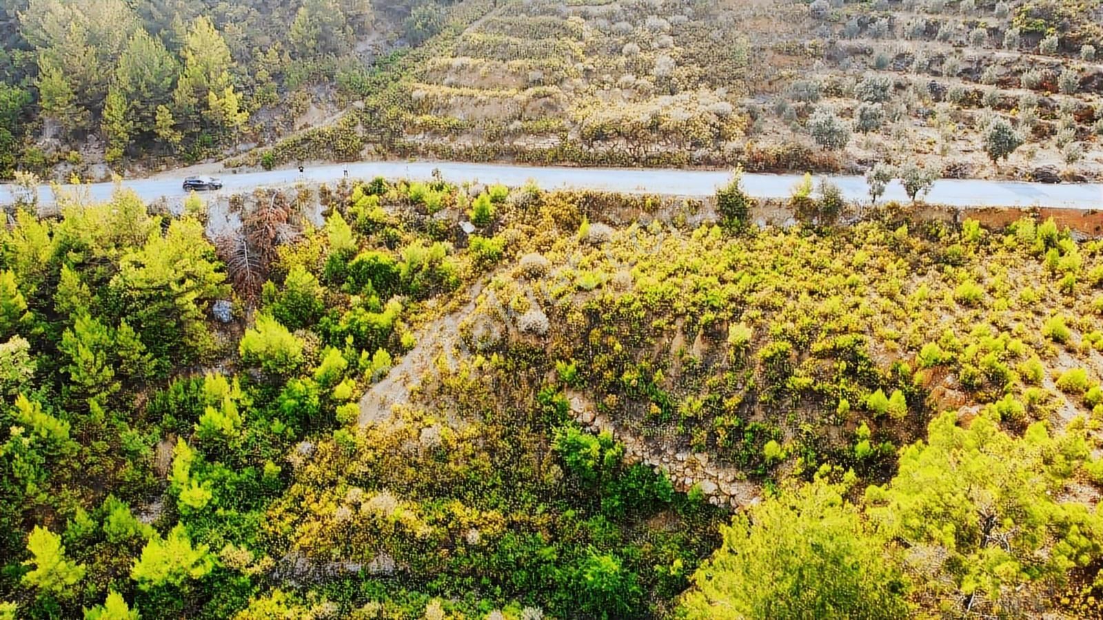 Alanya Üzümlü De 1500 M2 Yola Sıfır Satılık Tarla