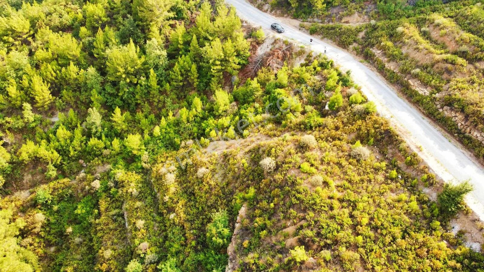 Alanya Üzümlü De 1500 M2 Yola Sıfır Satılık Tarla - Görsel 7