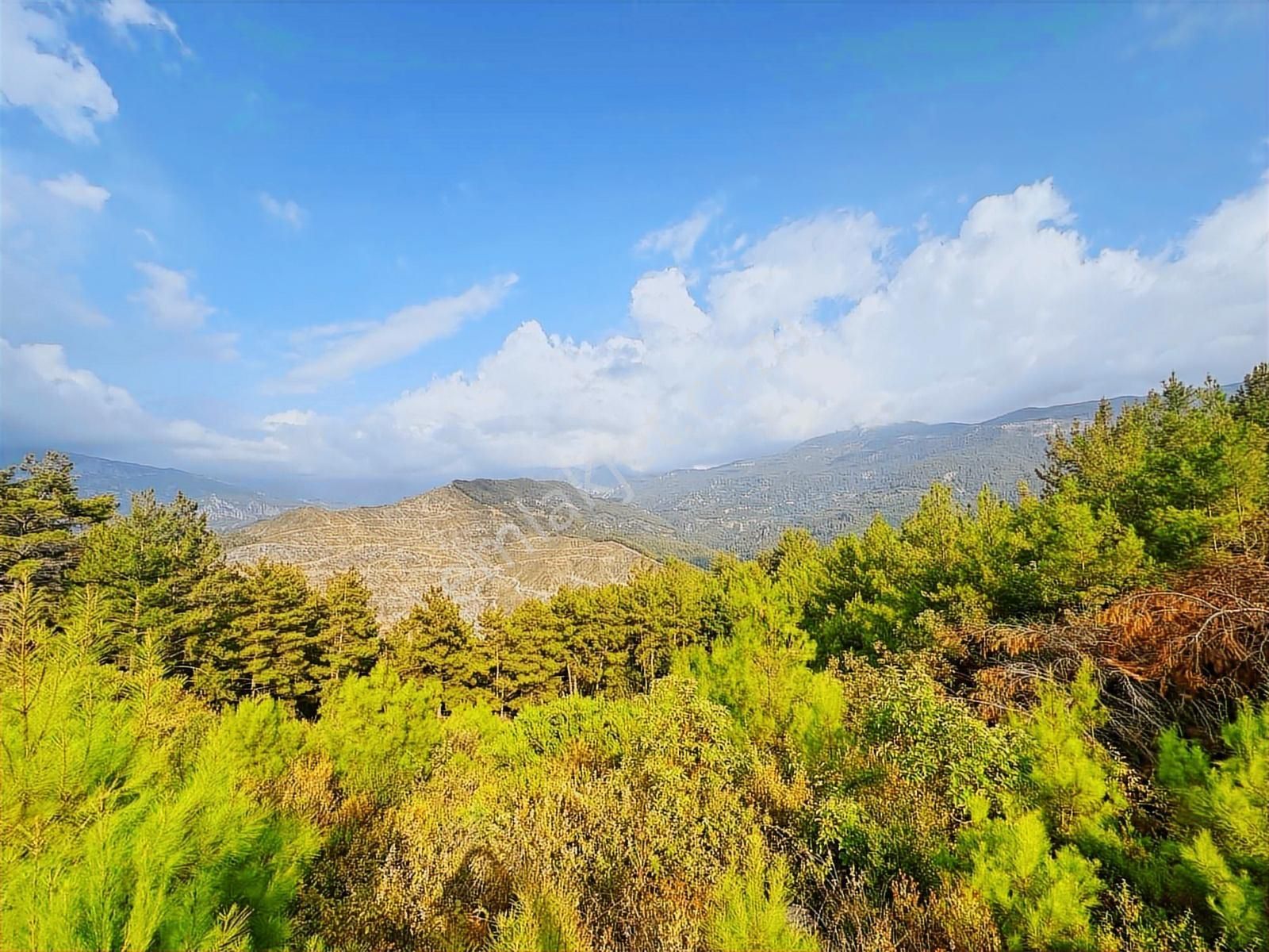 Alanya Üzümlü De 1500 M2 Yola Sıfır Satılık Tarla - Görsel 13