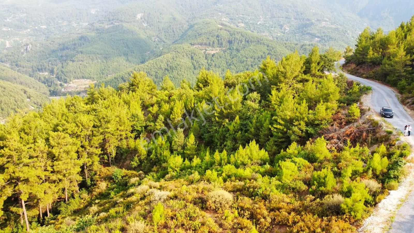 Alanya Üzümlü De 1500 M2 Yola Sıfır Satılık Tarla - Görsel 21
