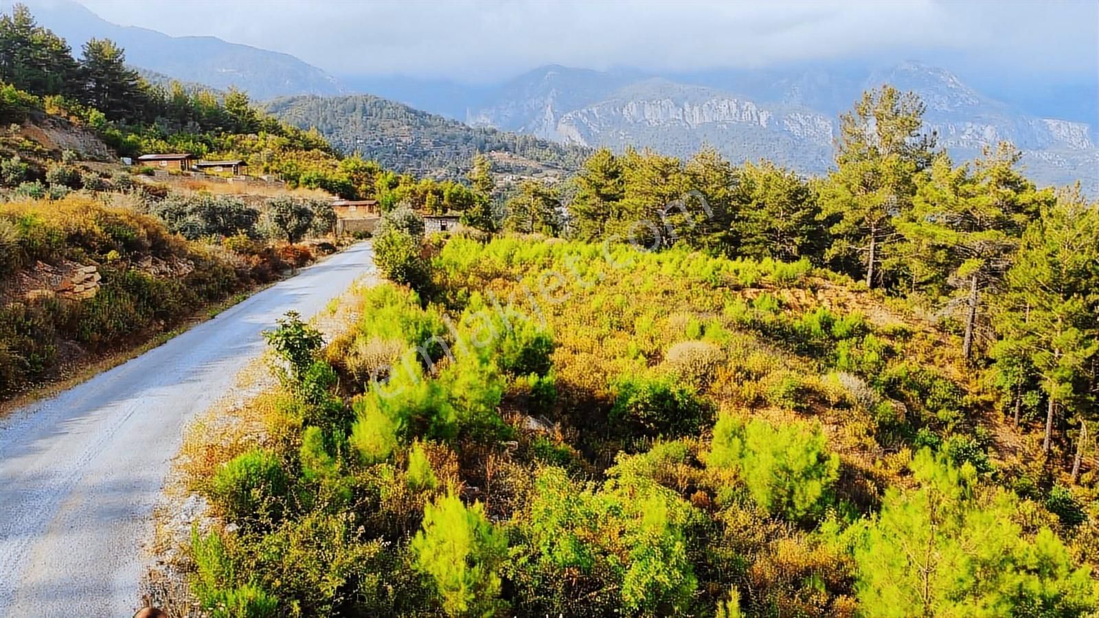 Alanya Üzümlü De 1500 M2 Yola Sıfır Satılık Tarla - Görsel 2