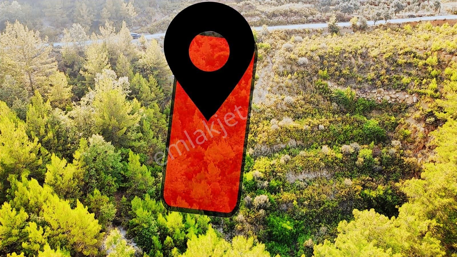 Alanya Üzümlü De 1500 M2 Yola Sıfır Satılık Tarla - Görsel 5