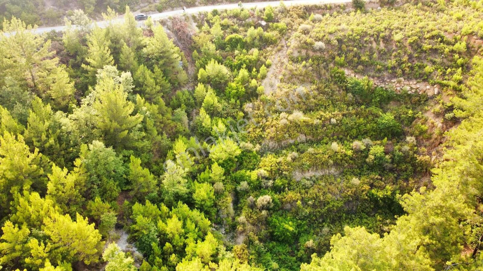 Alanya Üzümlü De 1500 M2 Yola Sıfır Satılık Tarla - Görsel 9