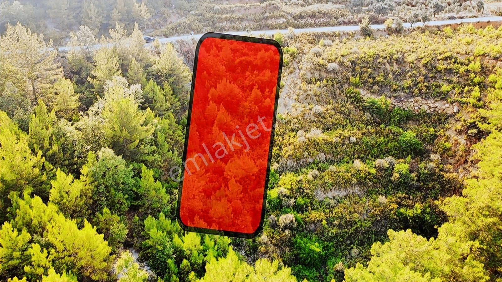 Alanya Üzümlü De 1500 M2 Yola Sıfır Satılık Tarla - Görsel 21