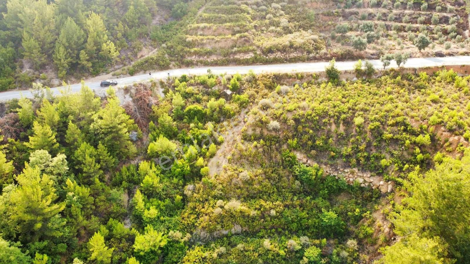 Alanya Üzümlü De 1500 M2 Yola Sıfır Satılık Tarla - Görsel 26