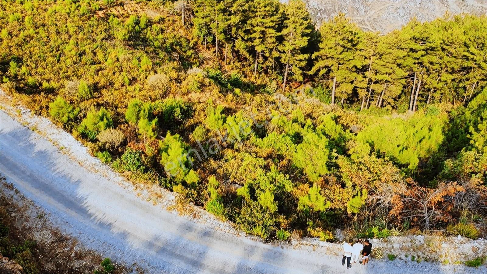 Alanya Üzümlü De 1500 M2 Yola Sıfır Satılık Tarla - Görsel 4