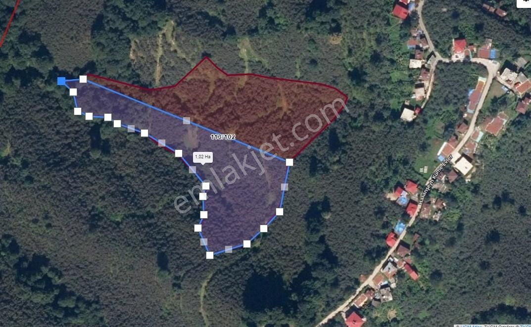 Aydın Emlak Piraziz Hasanşeyh Köyünde Müstakil 10 Dönüm Arazi