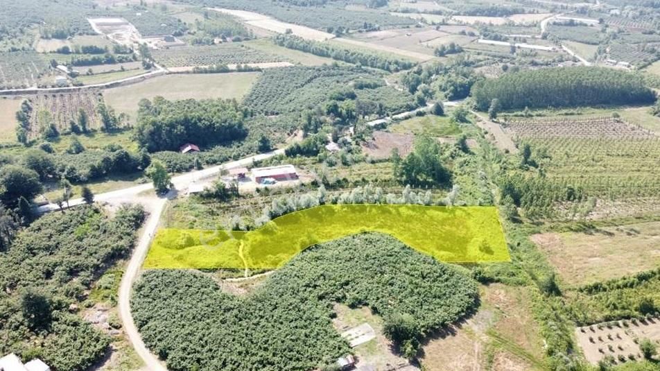 Köy İçinde Yola Cepheli Satılık Açık Arazi - Görsel 3