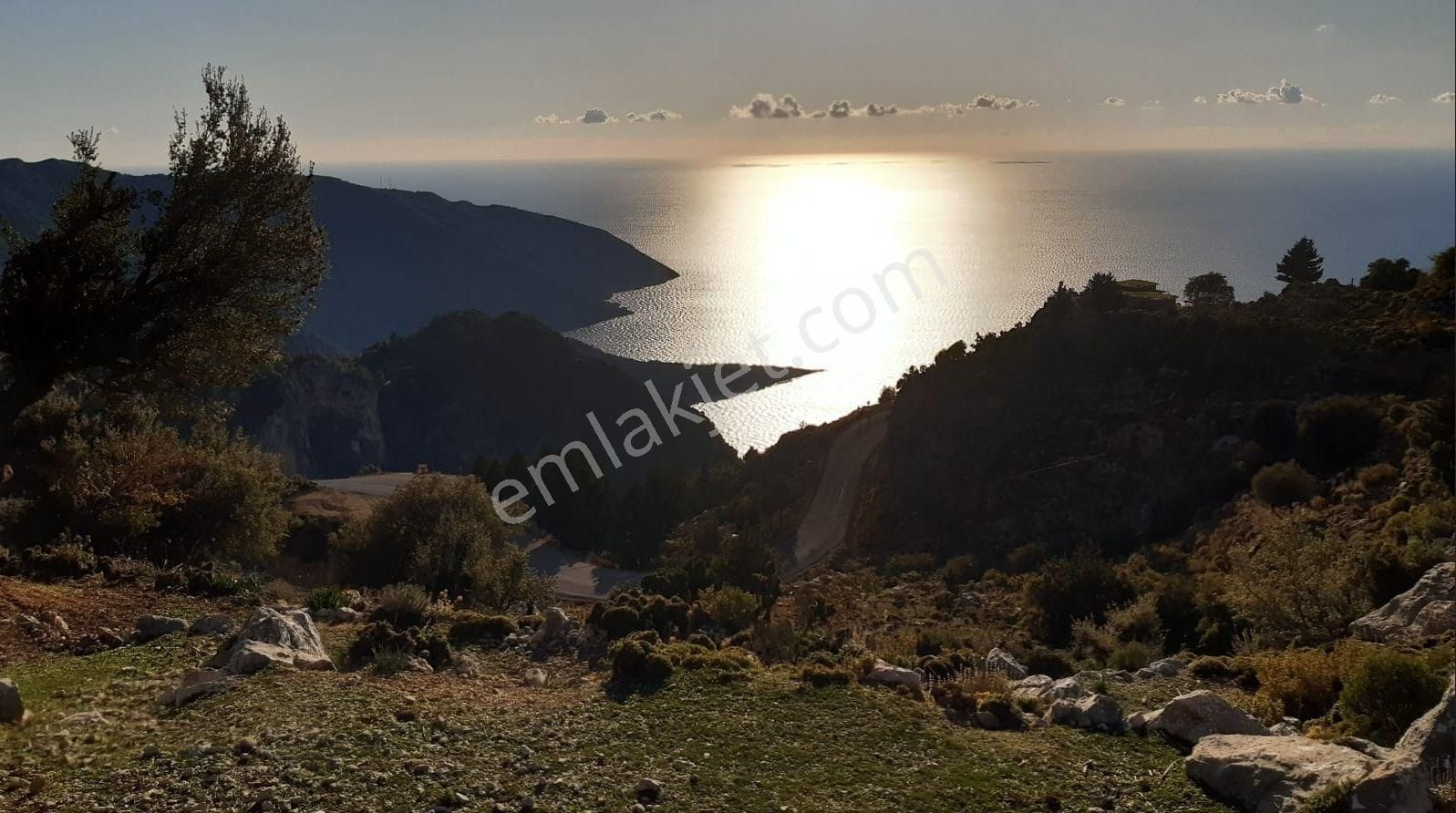 Goldhouse Dan Satılık Karaağaç Da 1123 M2 Tarla