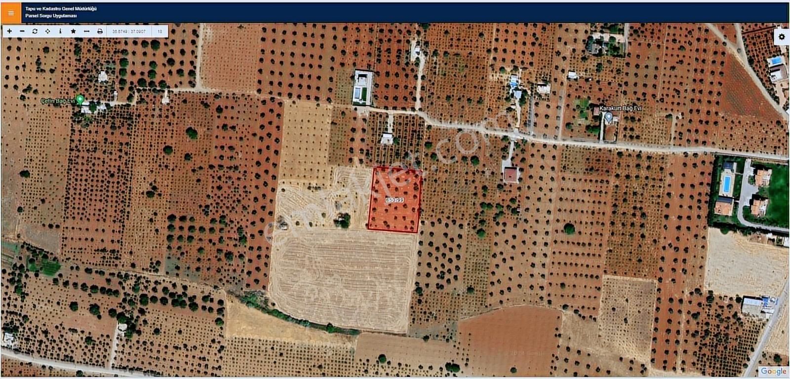 Hadi Gayrimenkulden Gümrük Yoluna Yakın Satılık Bağ Evlik Zeytin