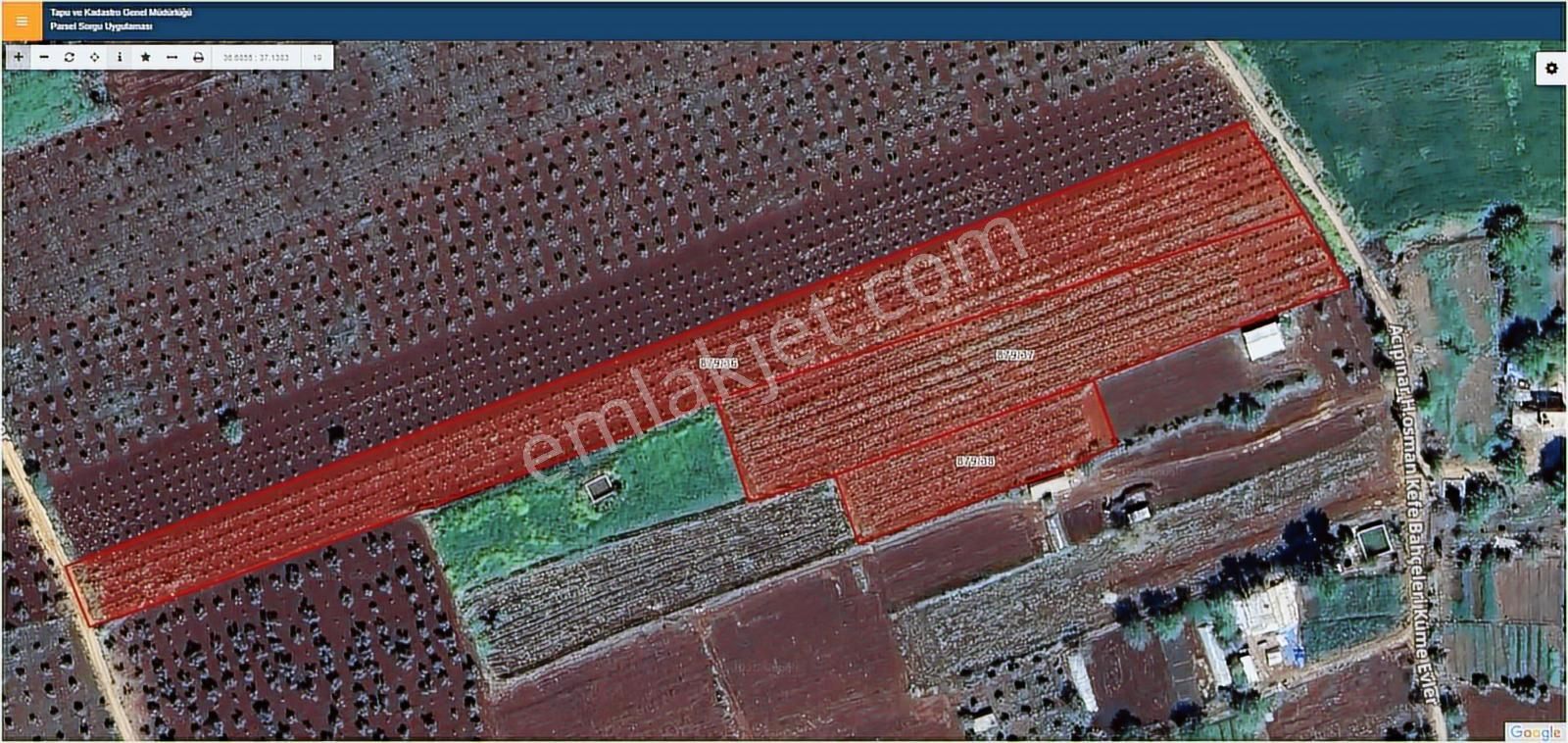 Hadi Gayrimenkulden Şıhmansurda Satılık 3 Parça Zeytinlik - Görsel 12