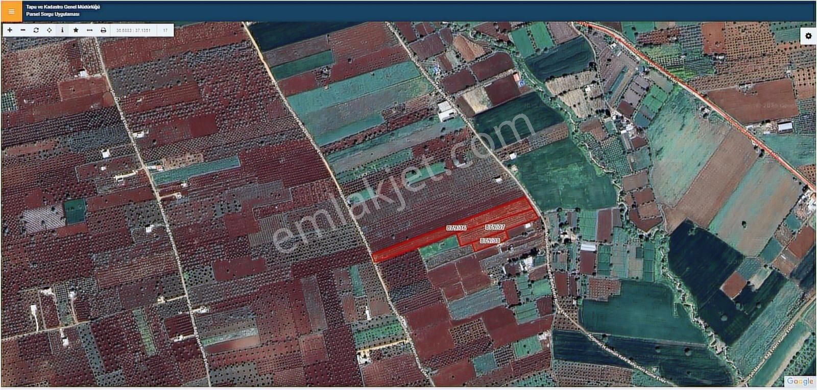 Hadi Gayrimenkulden Şıhmansurda Satılık 3 Parça Zeytinlik - Görsel 8