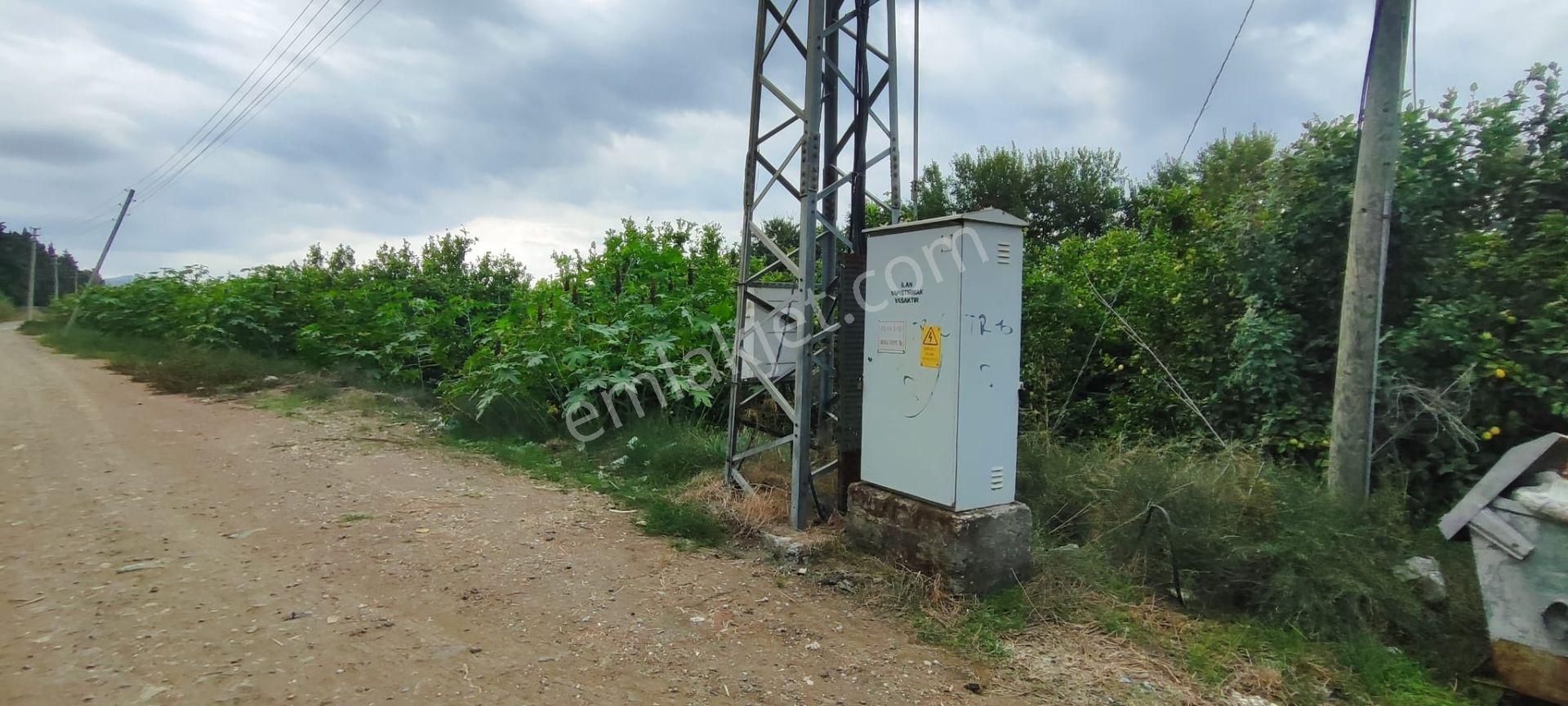 Muğla Ortaca Fevziye De Denize Yakın Müstakil Tapulu 6.200 M2 Bahçe Satılık - Görsel 2