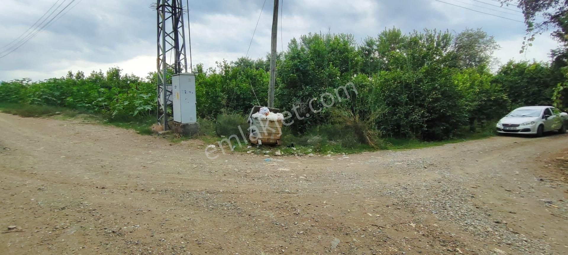 Muğla Ortaca Fevziye De Denize Yakın Müstakil Tapulu 6.200 M2 Bahçe Satılık - Görsel 4