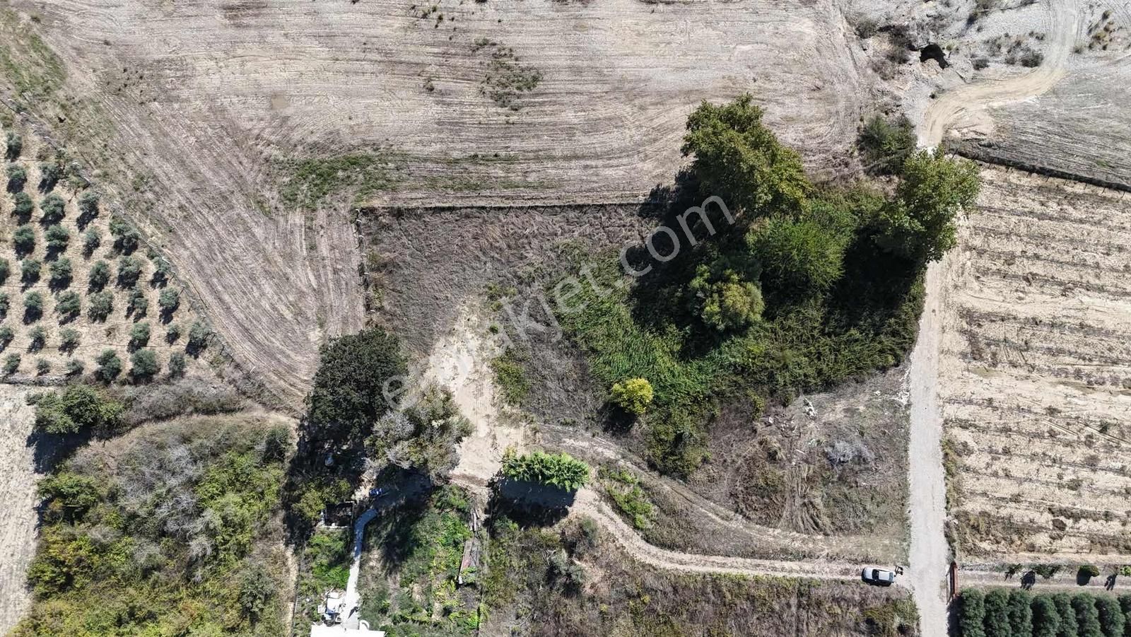 İnfo Gayrimenkulden Satılık Yola Yakın Tarla - Görsel 6