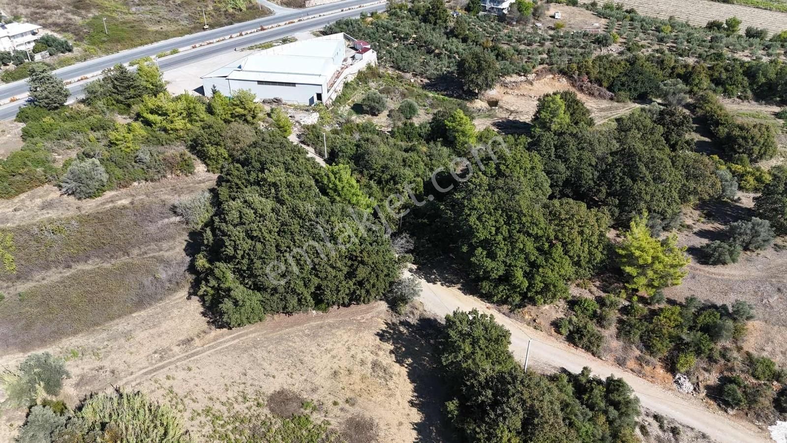 İnfo Gayrimenkulden Hocalıda Yola Yakın Yatırımlık Tarla - Görsel 11