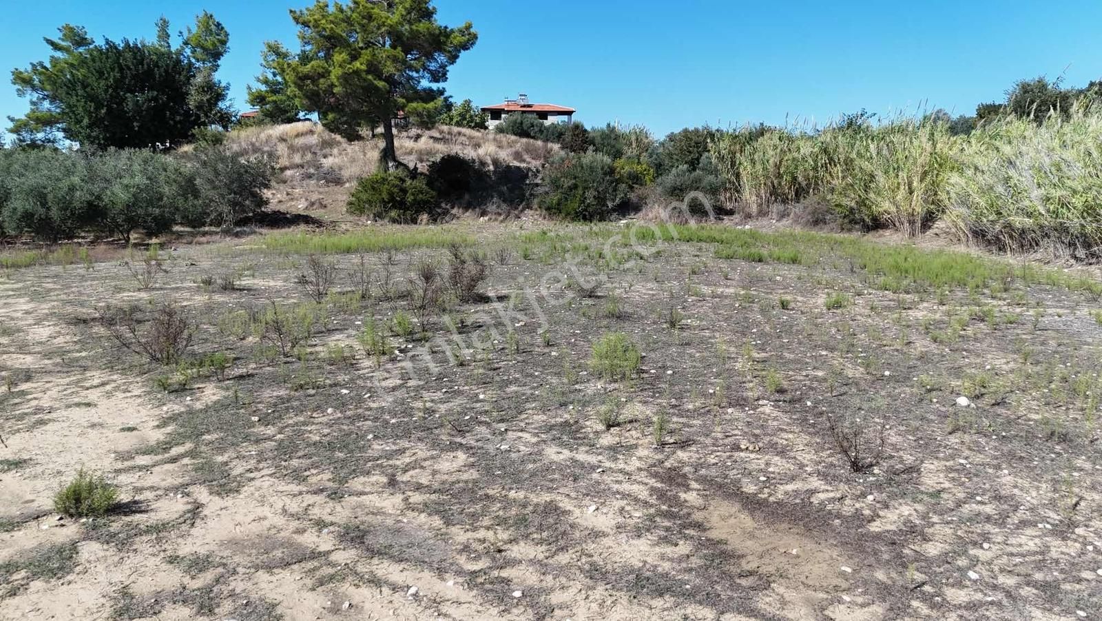 İnfo Gayrimenkulden Hocalıda Yola Yakın Yatırımlık Tarla - Görsel 7