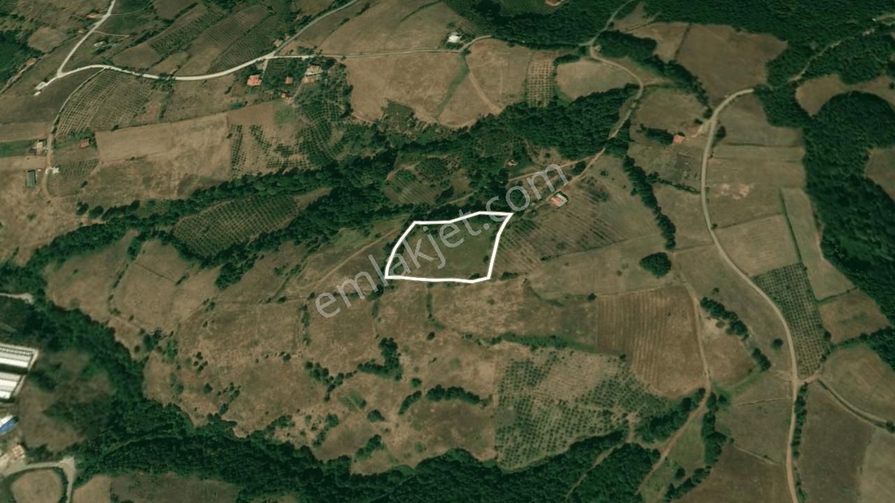 Ali Şeker'den Satılık Atakum Kurugökçe'de Satılık Tarla