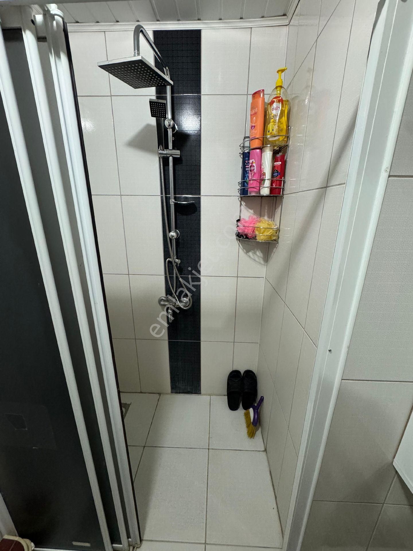 Belsin Sakarya - Görsel 32