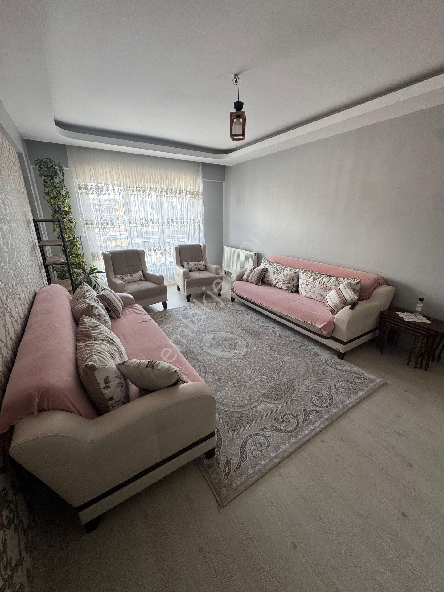 Belsin Sakarya - Görsel 4