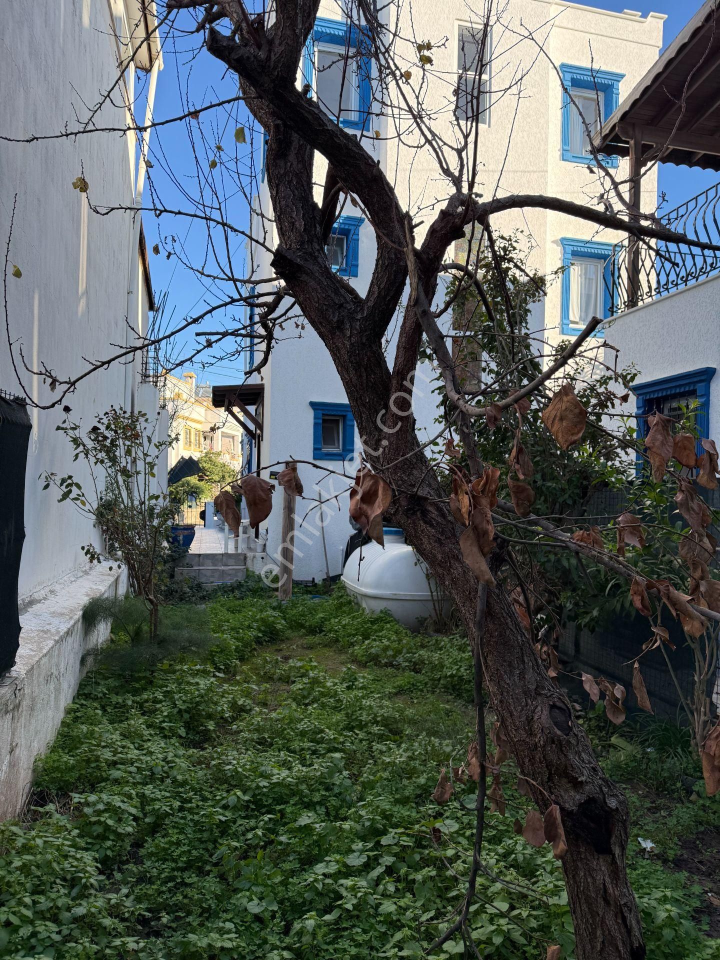 Bodrum Turgutreis Merkezde Kiralık Müstakil 4+1 Villa - Görsel 5