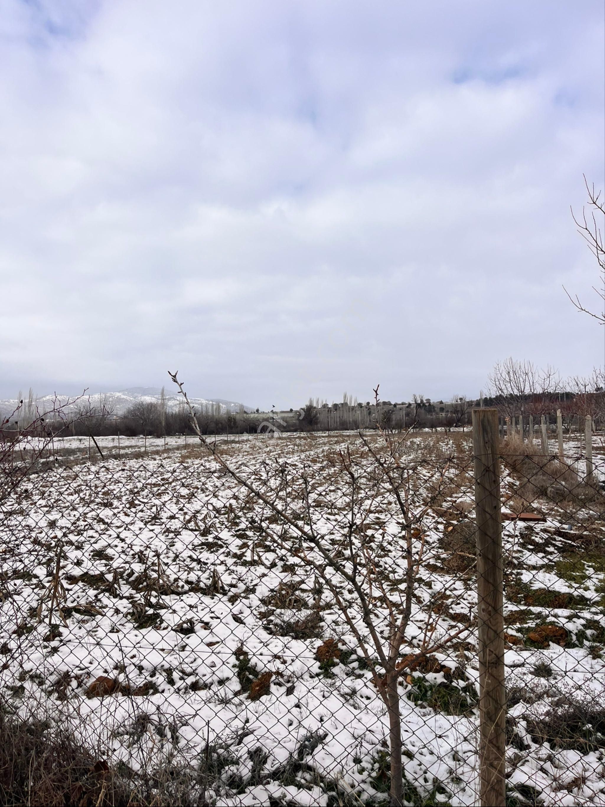 Banaz Hamambogazı 978m2 Yol Üzeri Güzel Tarla - Görsel 3