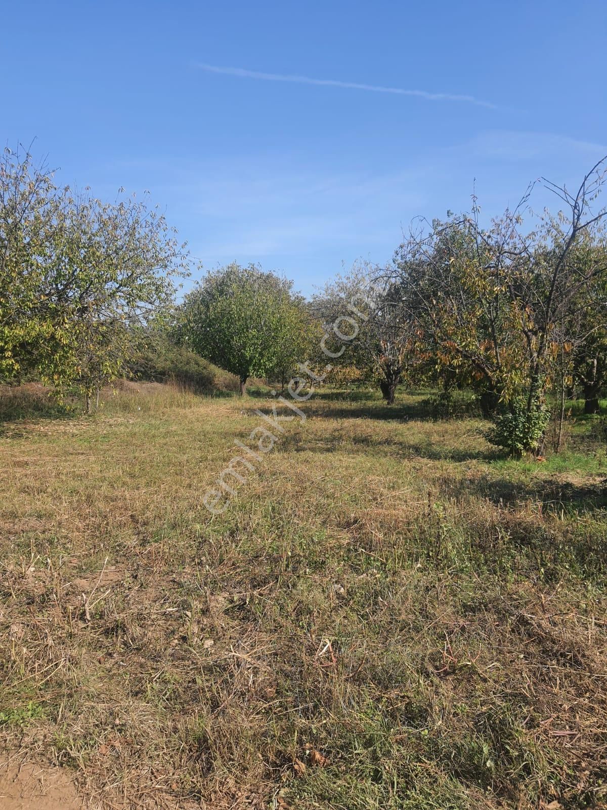 Doğa İle Başbaşa Hem Köy Hem Huzur - Görsel 9