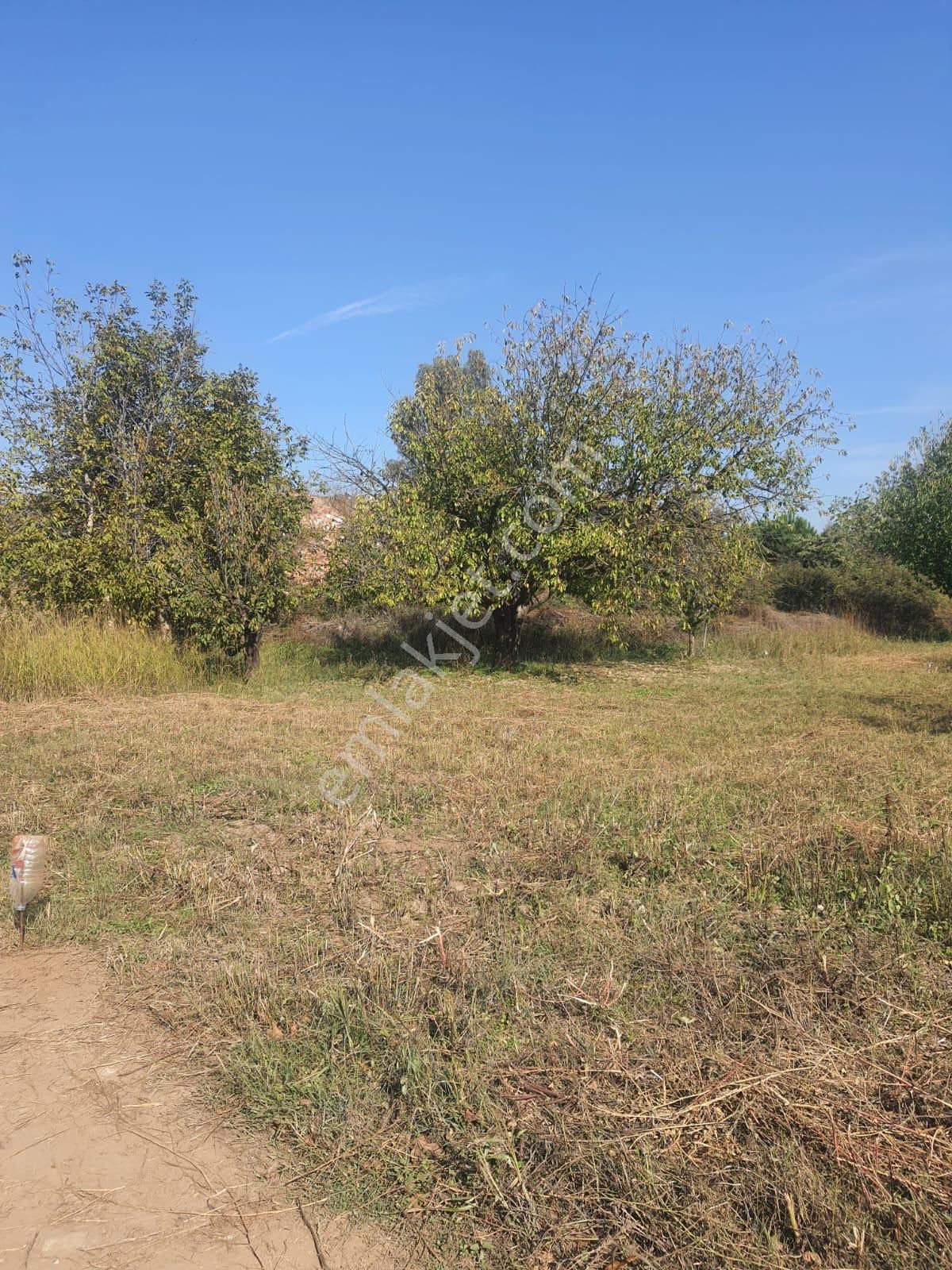 Doğa İle Başbaşa Hem Köy Hem Huzur - Görsel 12