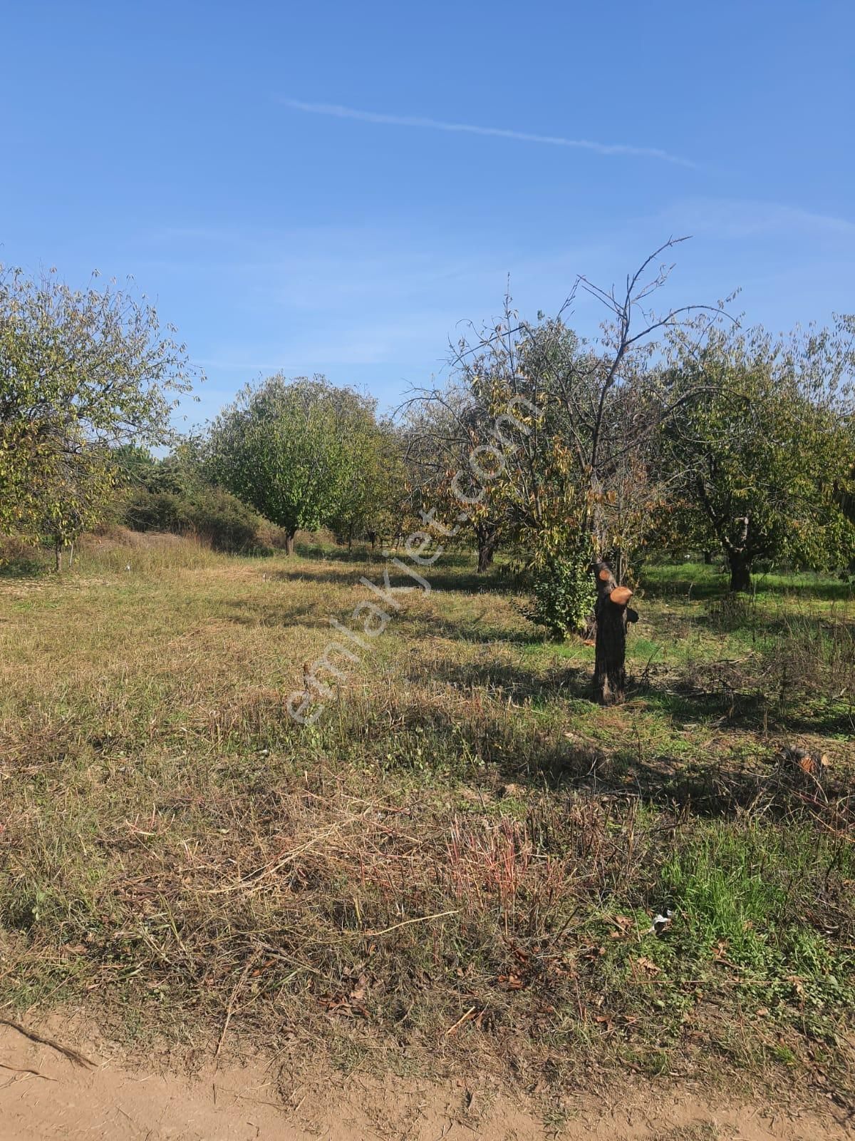 Doğa İle Başbaşa Hem Köy Hem Huzur - Görsel 3