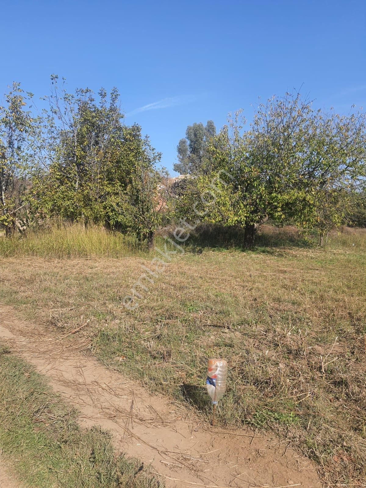 Doğa İle Başbaşa Hem Köy Hem Huzur - Görsel 7