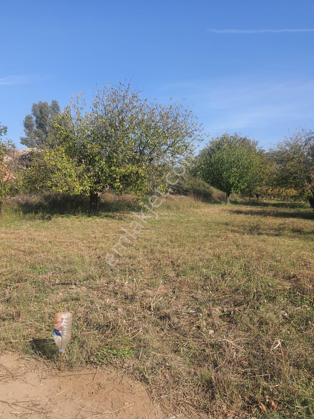 Doğa İle Başbaşa Hem Köy Hem Huzur - Görsel 8