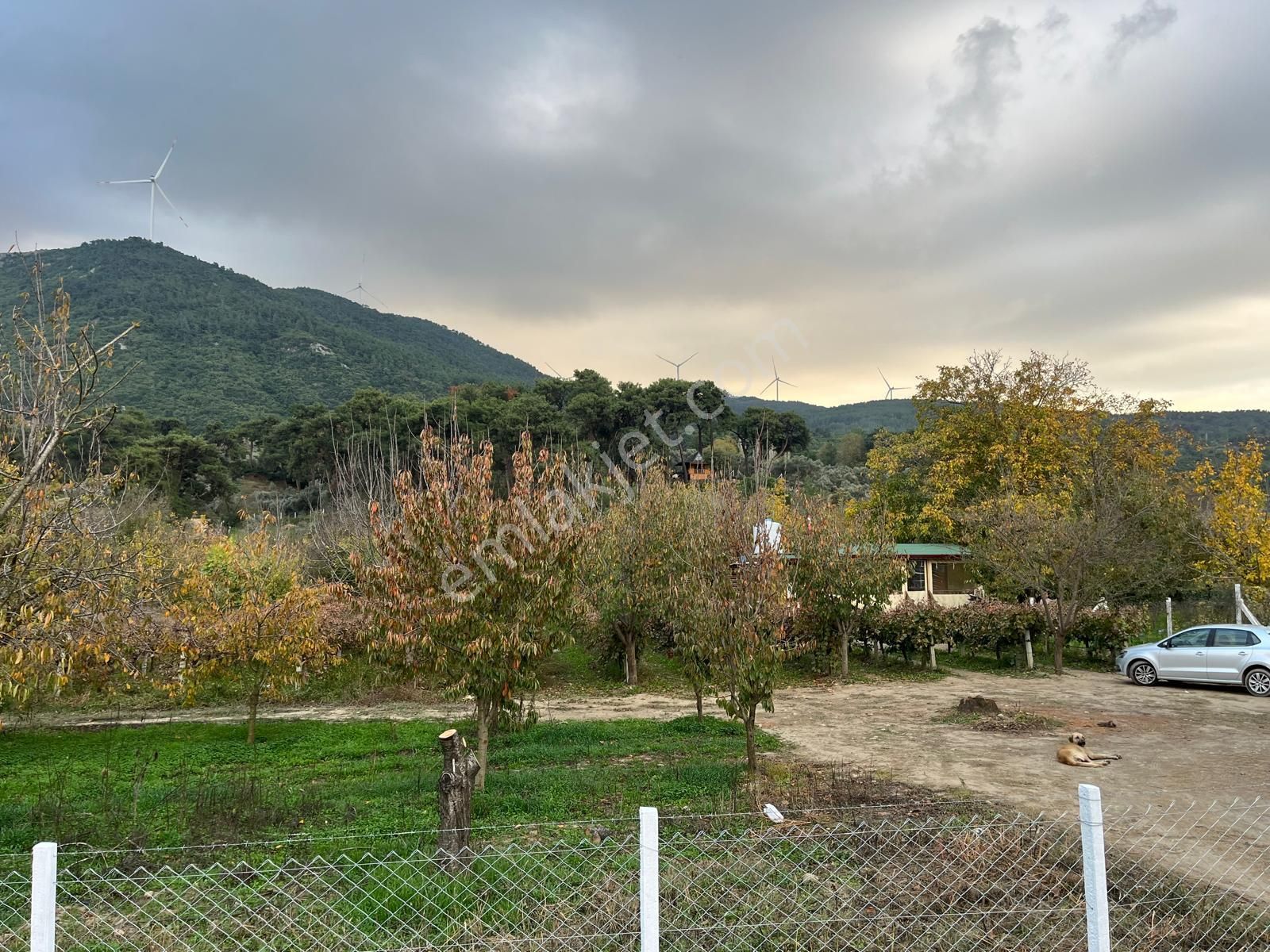 Doğa İle Başbaşa Hem Köy Hem Huzur - Görsel 18