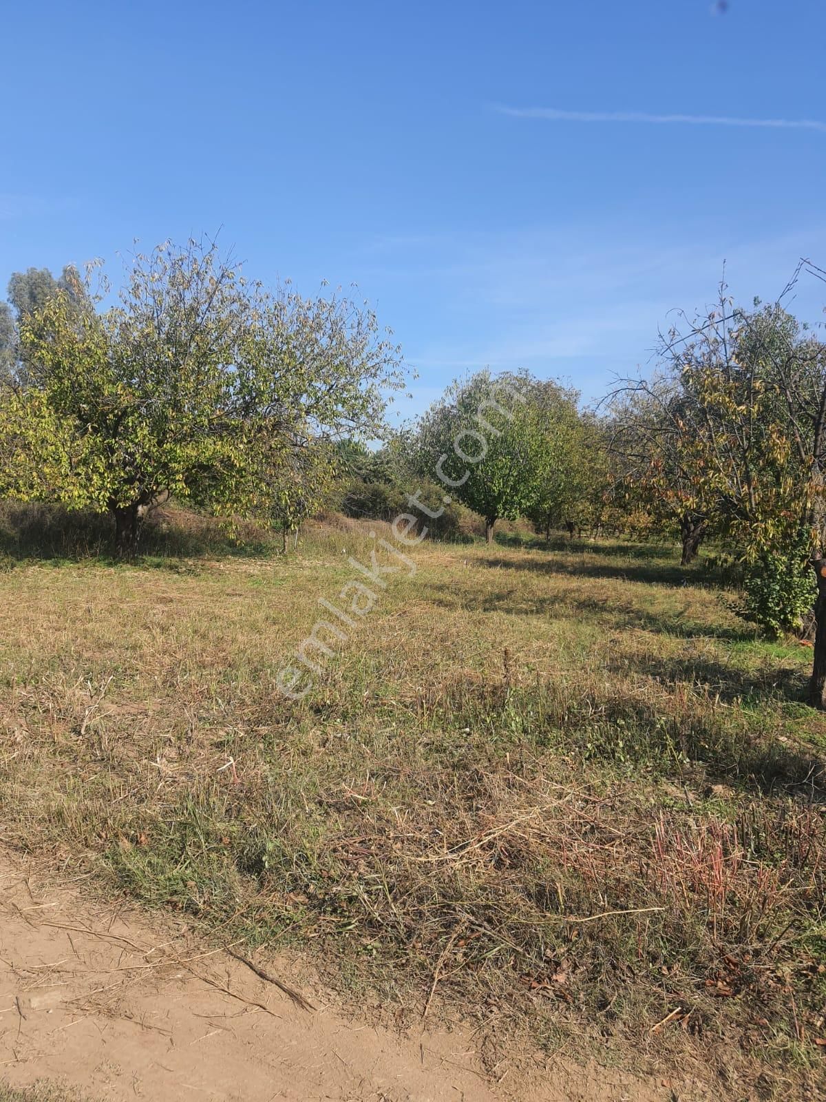 Doğa İle Başbaşa Hem Köy Hem Huzur - Görsel 13