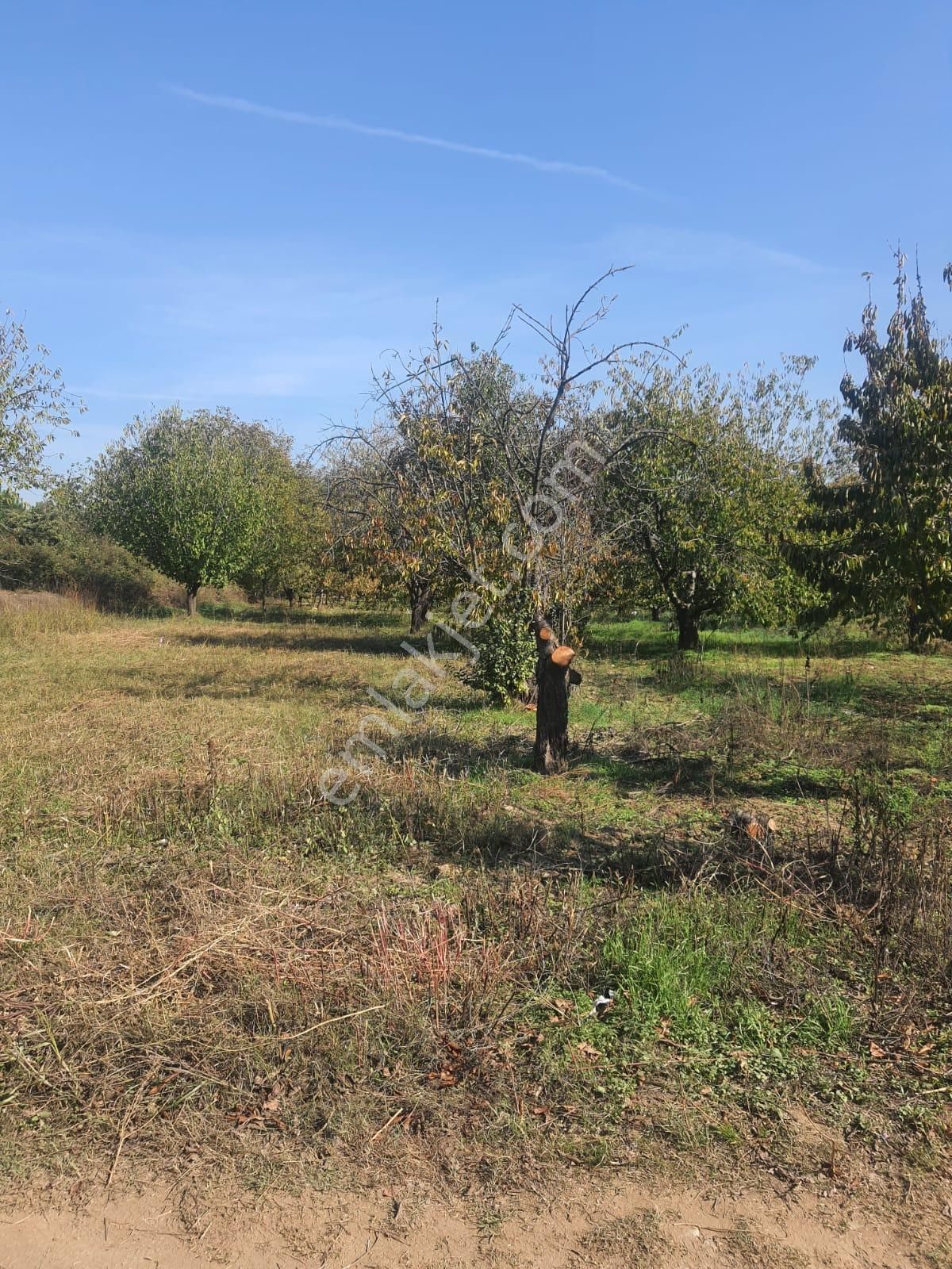 Doğa İle Başbaşa Hem Köy Hem Huzur