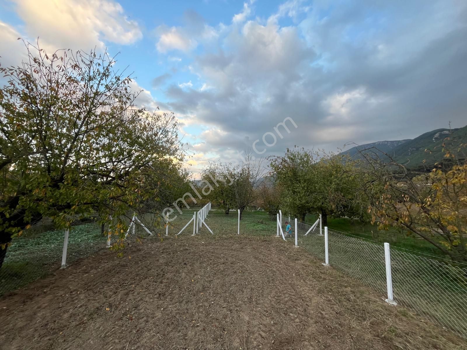 Doğa İle Başbaşa Hem Köy Hem Huzur - Görsel 14