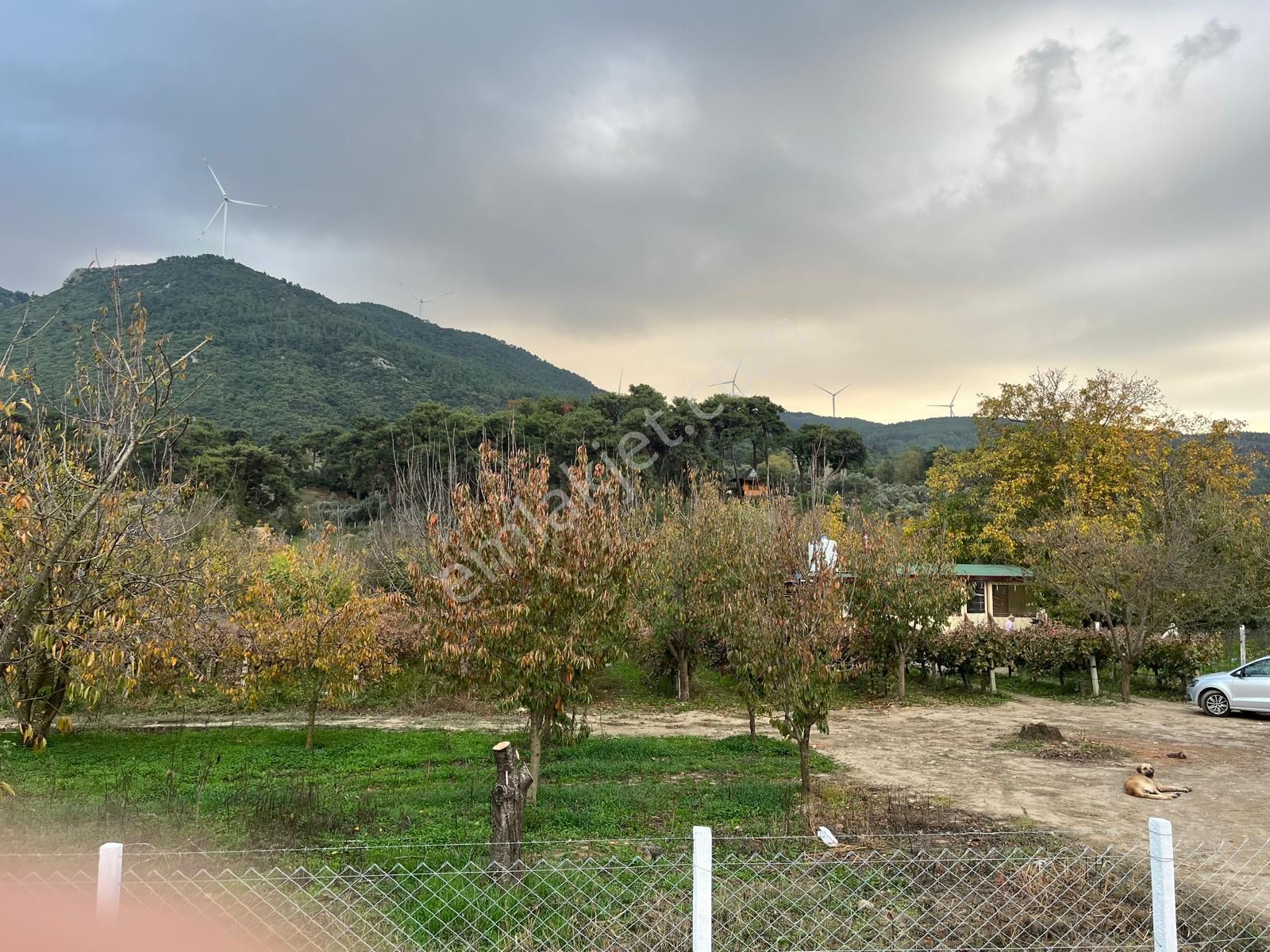 Doğa İle Başbaşa Hem Köy Hem Huzur - Görsel 24