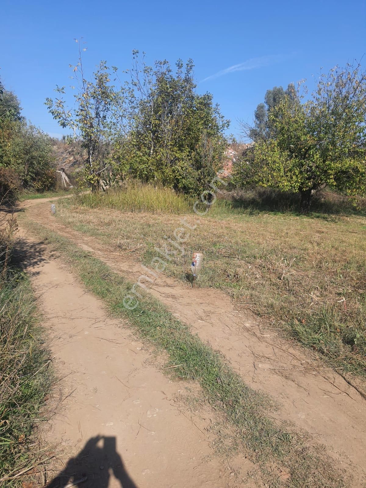 Doğa İle Başbaşa Hem Köy Hem Huzur - Görsel 4