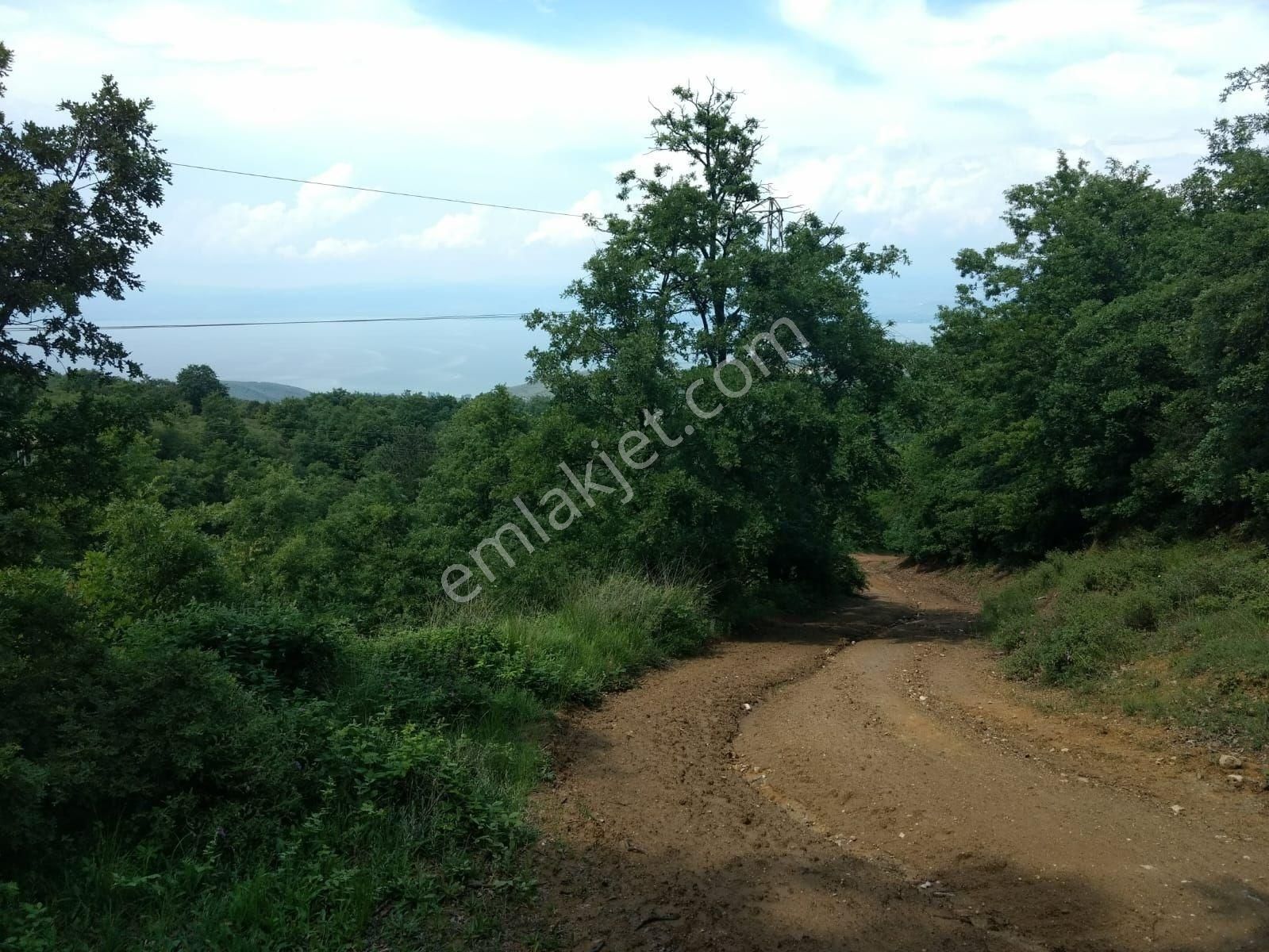 İznik Derbentte Göl Manzaralı Yola Cephe Satılık Tarla - Görsel 9